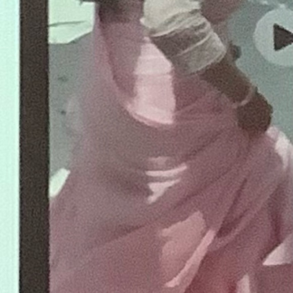 Indian Pakistani saree